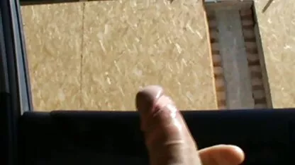 Sucer extrait video de sexe et baiser